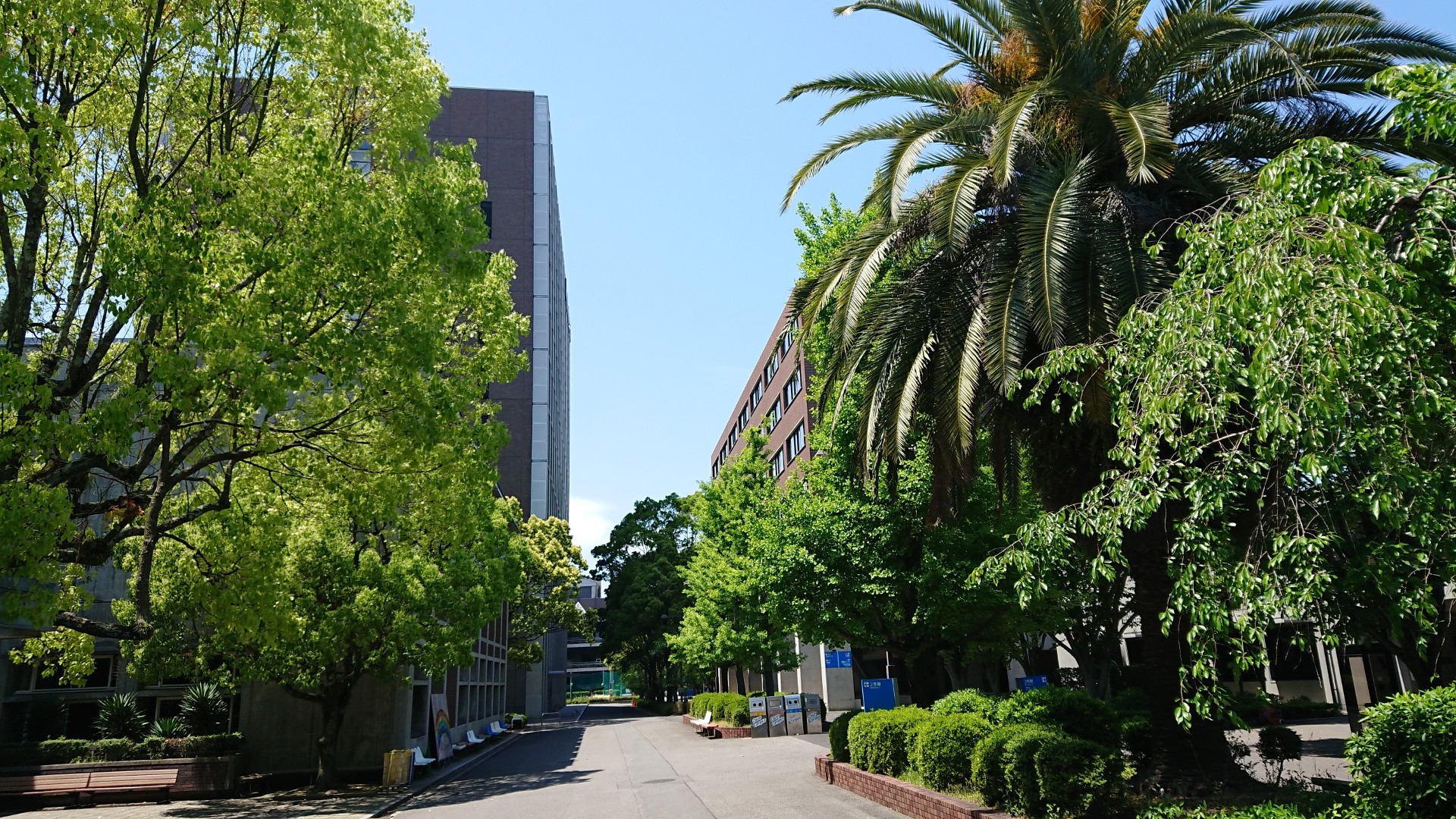 松山 大学 学内 ポータル